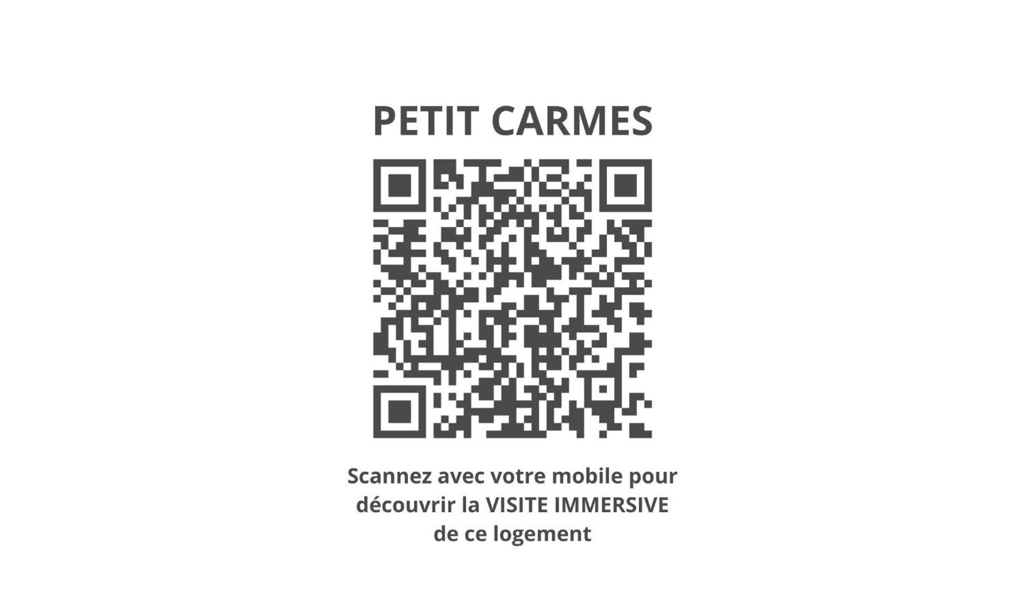 Le Petit Carmes - Joli De Caractere * Toulouse